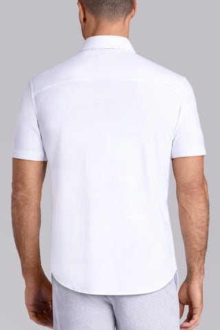 Established In White