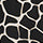 Conquest In Champagne Black