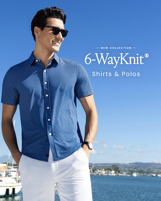 brand dress shirts Mens Cotton Blue Striped Slim Fit Spread Collar Wrinkle Free Dress Shirt, 16.5 / 36/37