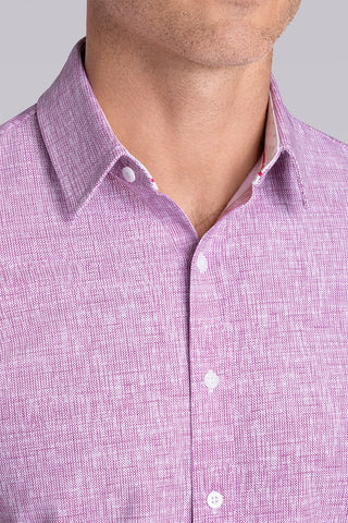 Horizon in Magenta