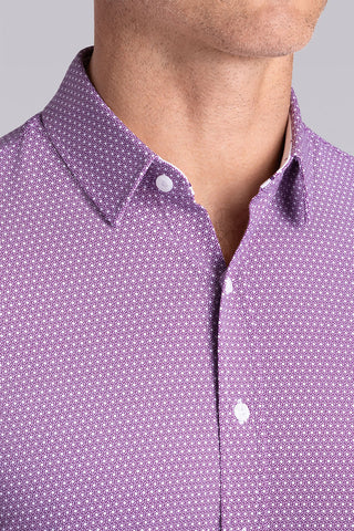 Pulse in Plum