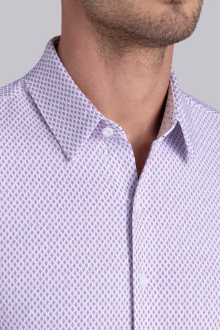 Dashing in Wild Orchid