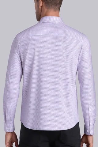 Dashing in Wild Orchid