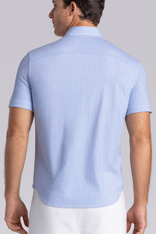 Spectrum in Light Blue