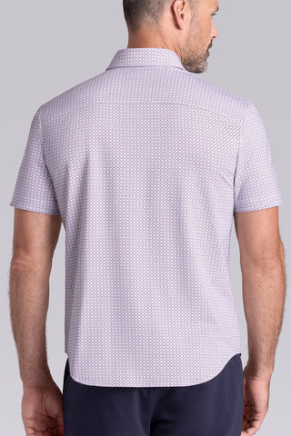Spectrum in White Plum