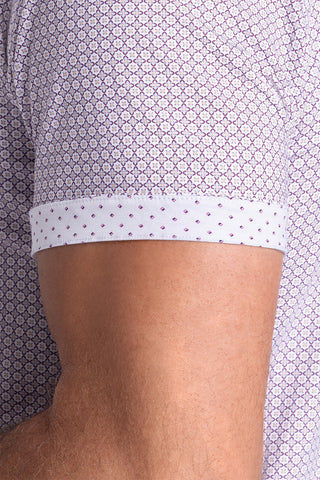 Spectrum in White Plum