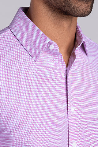 Classic Collar