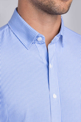 Classic Collar